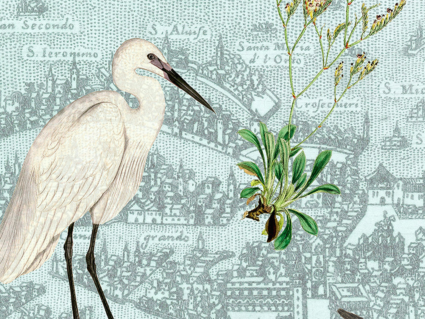 Venice, Italy Postcard (Set of 10 Identical Cards) — Vintage Natural History Collage