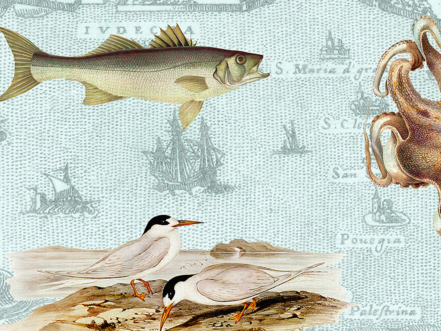 Venice, Italy Postcard (Set of 10 Identical Cards) — Vintage Natural History Collage