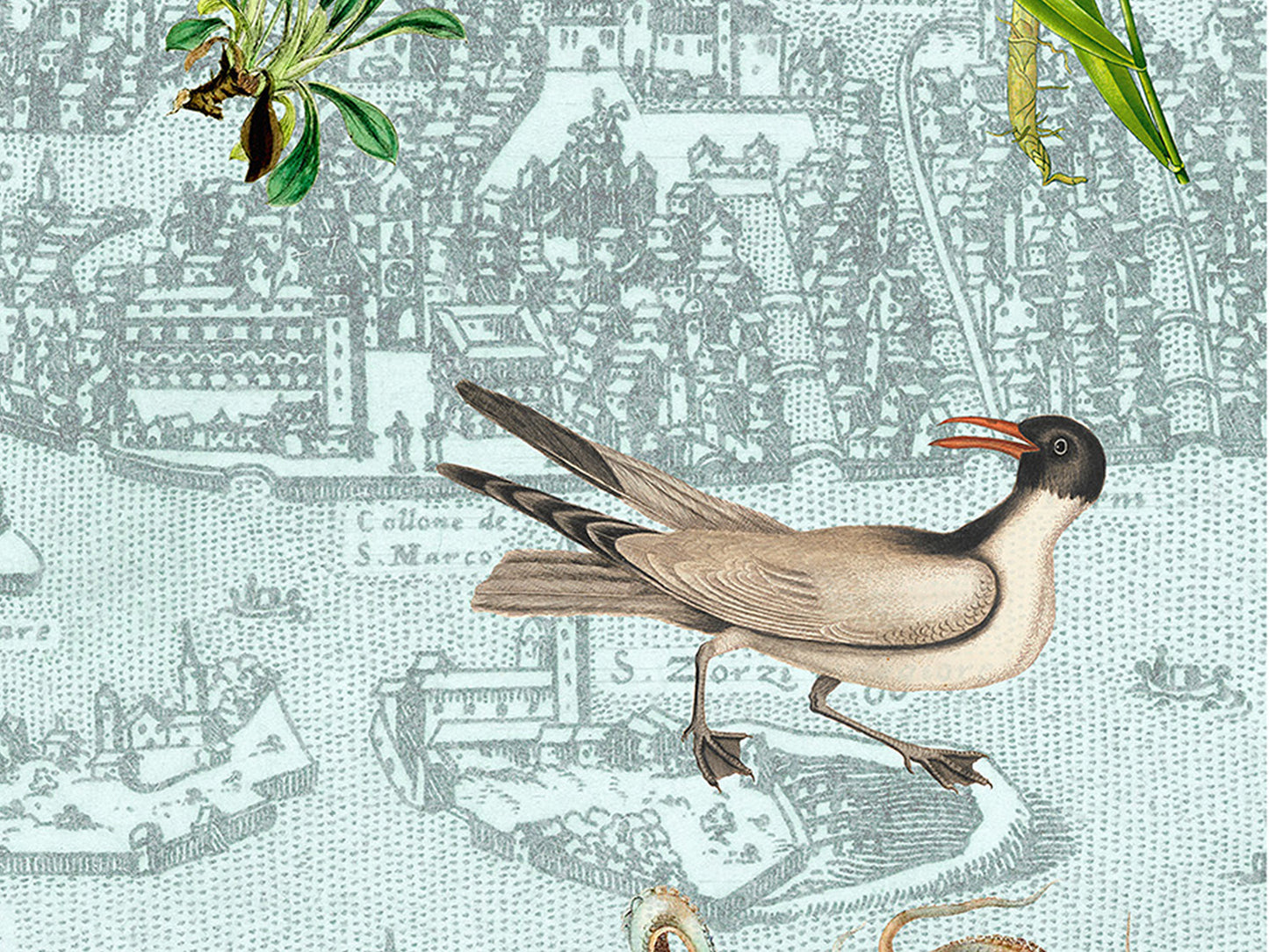 Venice, Italy Postcard (Set of 10 Identical Cards) — Vintage Natural History Collage