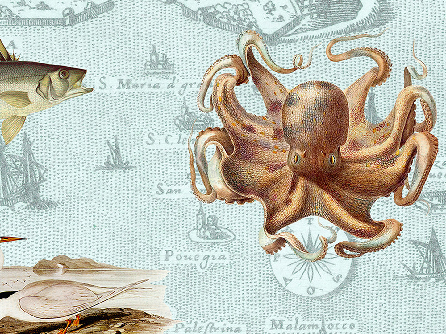 Venice, Italy Postcard (Set of 10 Identical Cards) — Vintage Natural History Collage