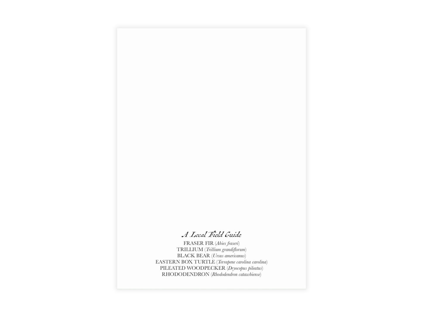 Great Smoky Mountain National Park Postcard (Set of 10 Identical Cards) — Vintage Natural History Collage