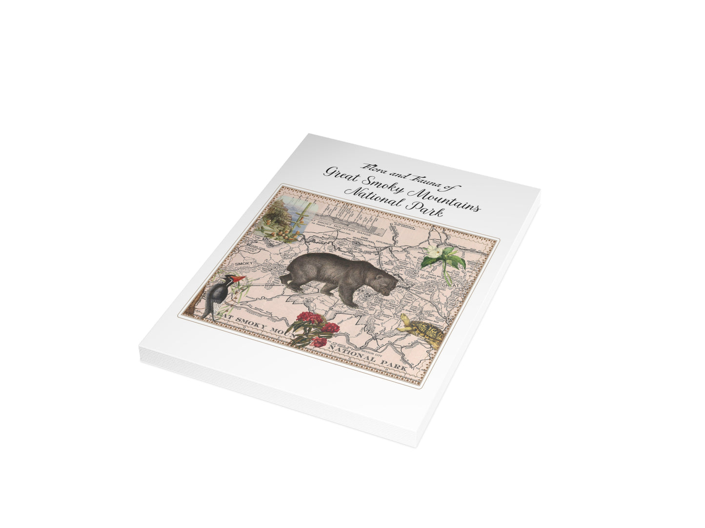 Great Smoky Mountain National Park Postcard (Set of 10 Identical Cards) — Vintage Natural History Collage