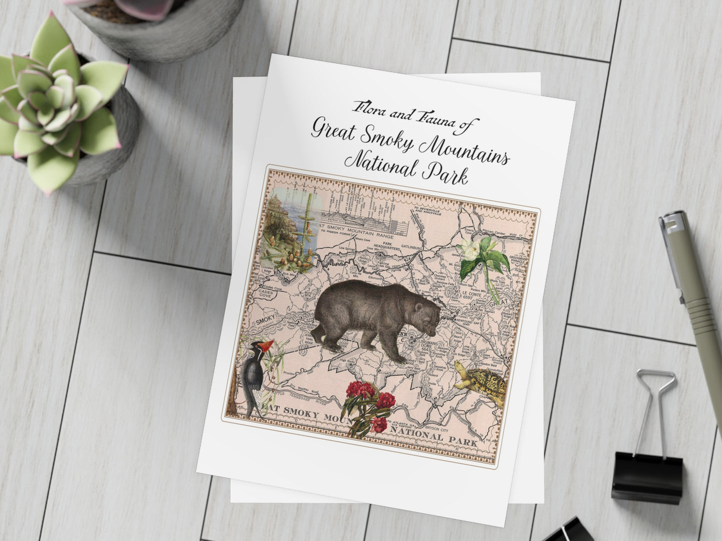 Great Smoky Mountain National Park Postcard (Set of 10 Identical Cards) — Vintage Natural History Collage