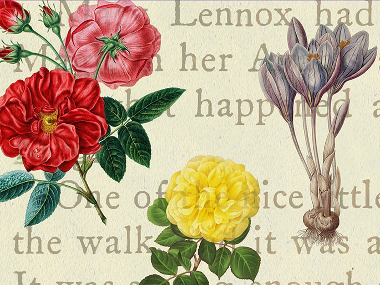 The Secret Garden Flora and Fauna Postcard (Set of 10 identical cards)