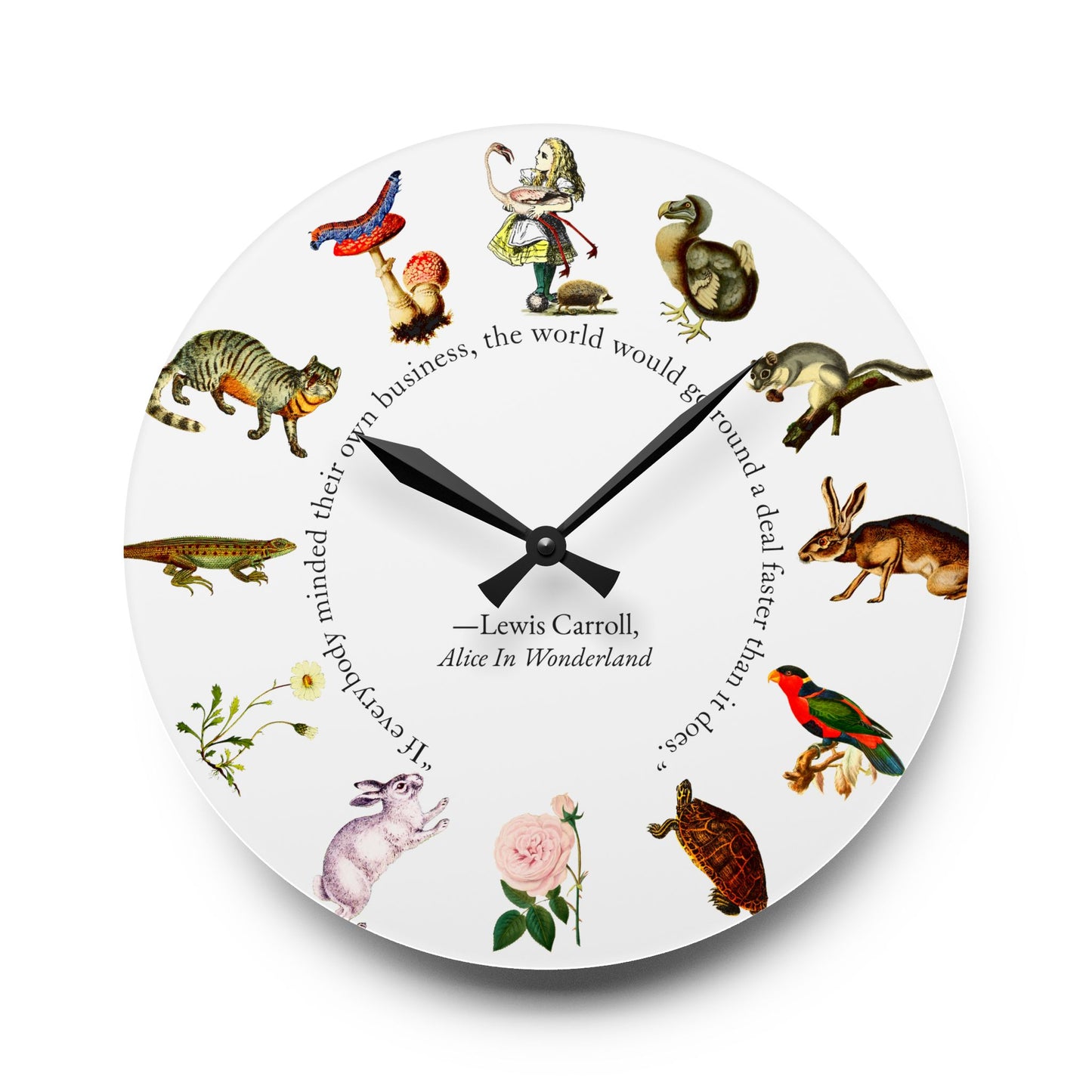 Alice in Wonderland Natural History Wall Clock