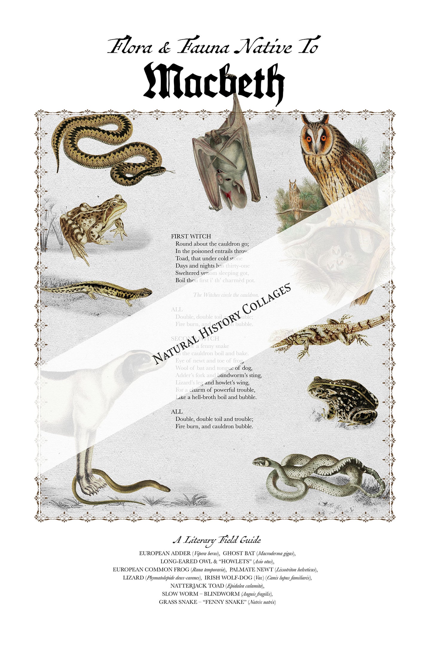 Macbeth Literary Field Guide & Vintage Natural History Collage