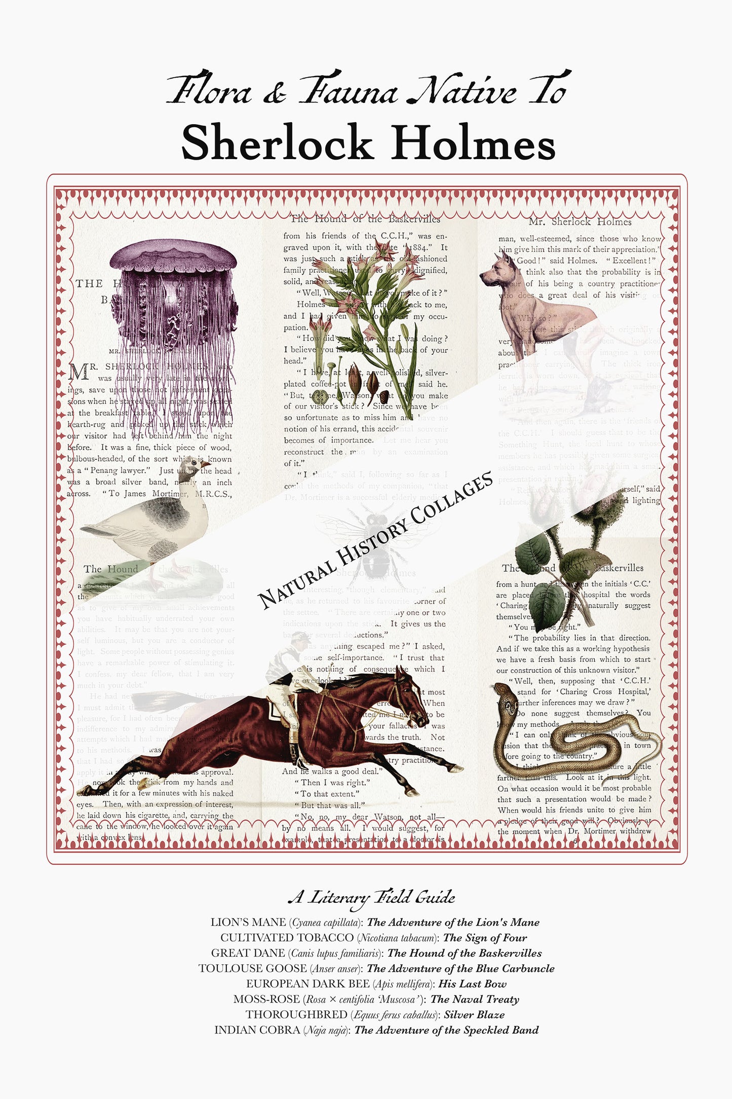 Sherlock Holmes Literary Field Guide & Vintage Natural History Collage