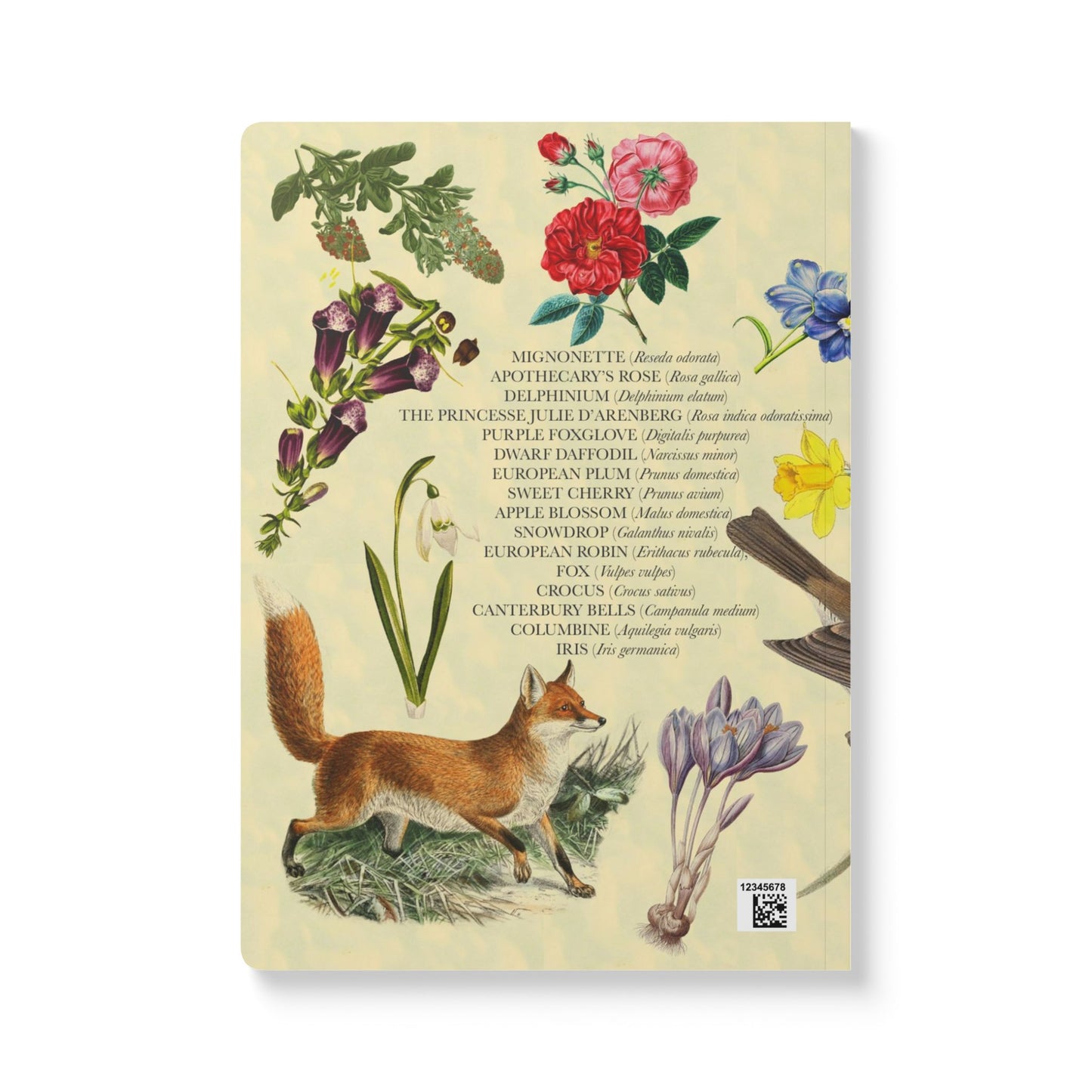 Secret Garden Blank Notebook — Softcover Journal with Vintage Illustrations