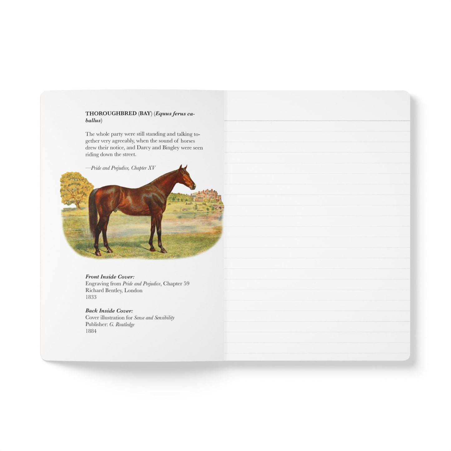 Jane Austen Blank Notebook — Softcover Natural History Writing Journal