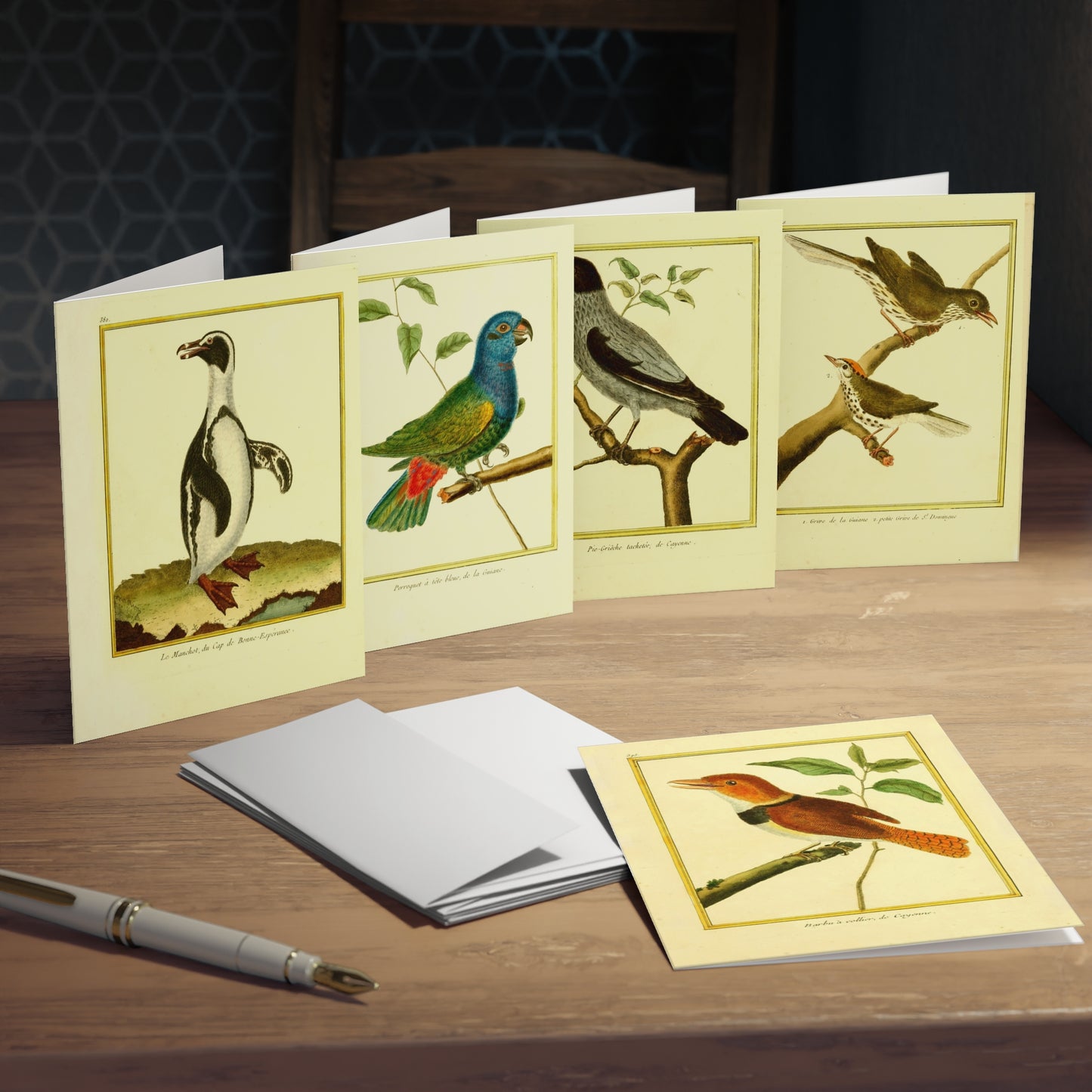Friendly Birds Greeting Cards (5 different cards) — Vintage Natural History Illustrations