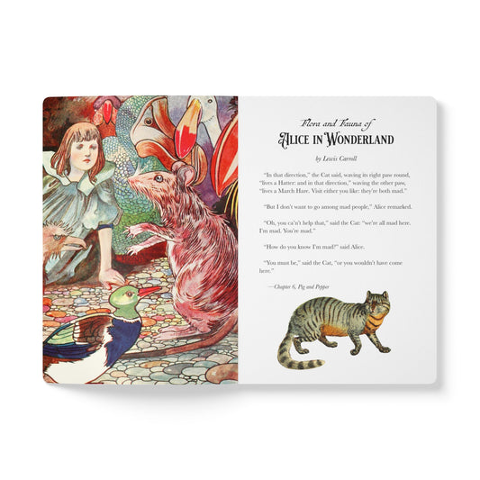 Alice In Wonderland Blank Notebook — Softcover Journal with Vintage Illustrations
