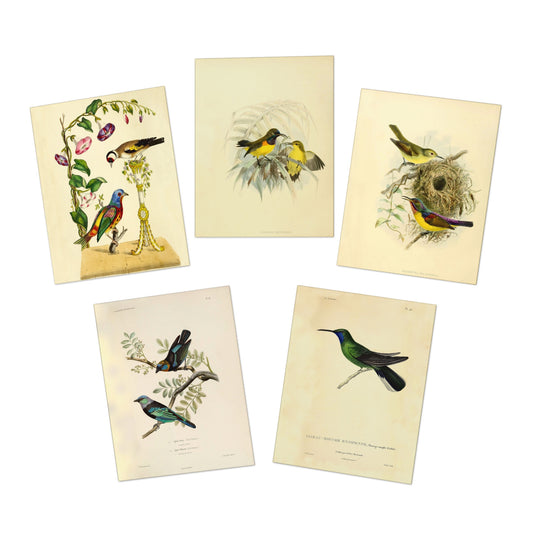 Romantic Birds Note Cards (5 different cards) — Vintage Natural History Illustrations