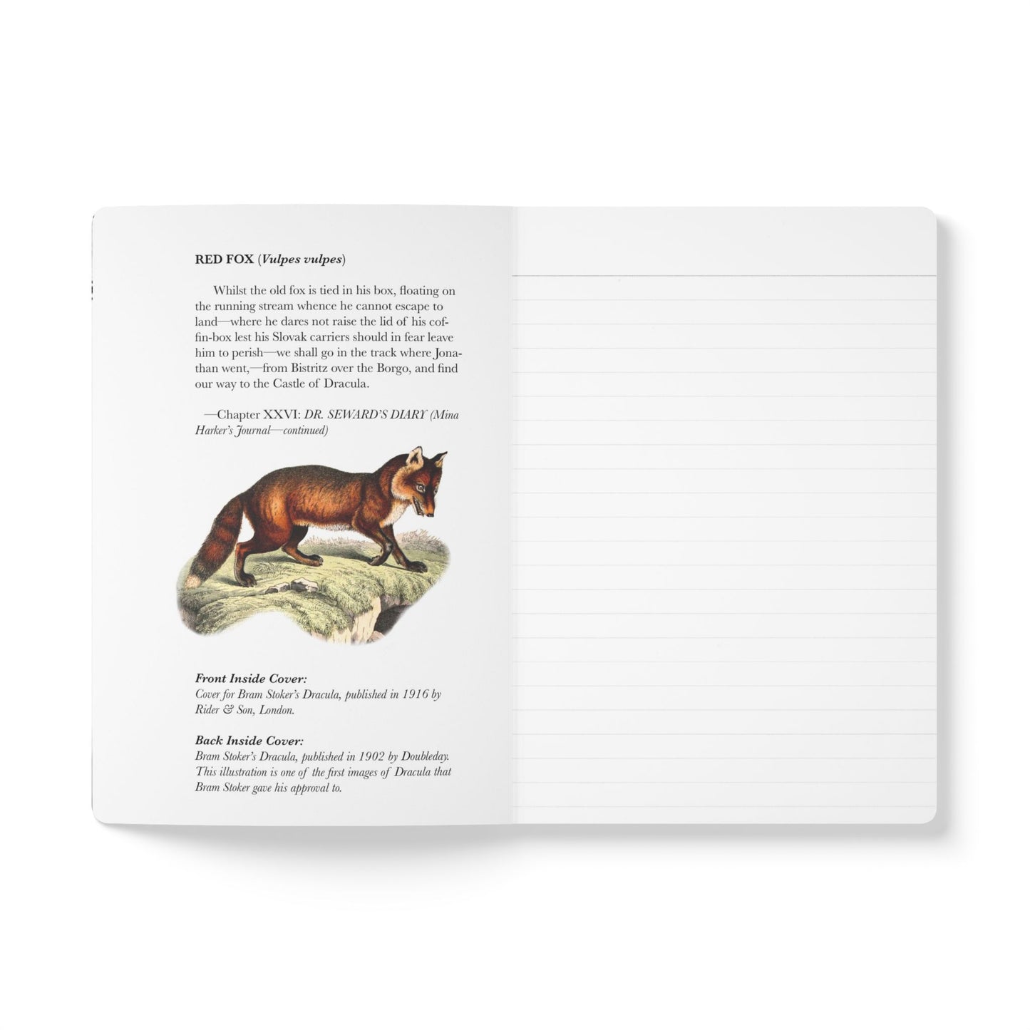 Dracula Blank Notebook — Softcover Inspiration & Writing Journal