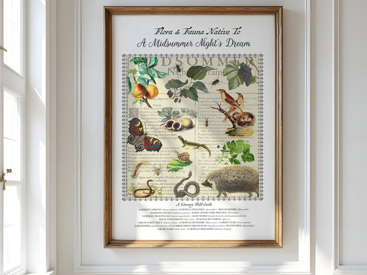 A Midsummer Night's Dream Field Guide