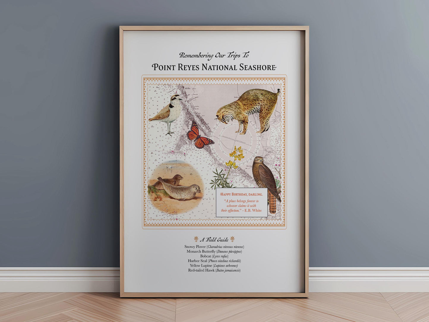 Custom Natural History Collage—A Personalized Field Guide To a Beloved Place
