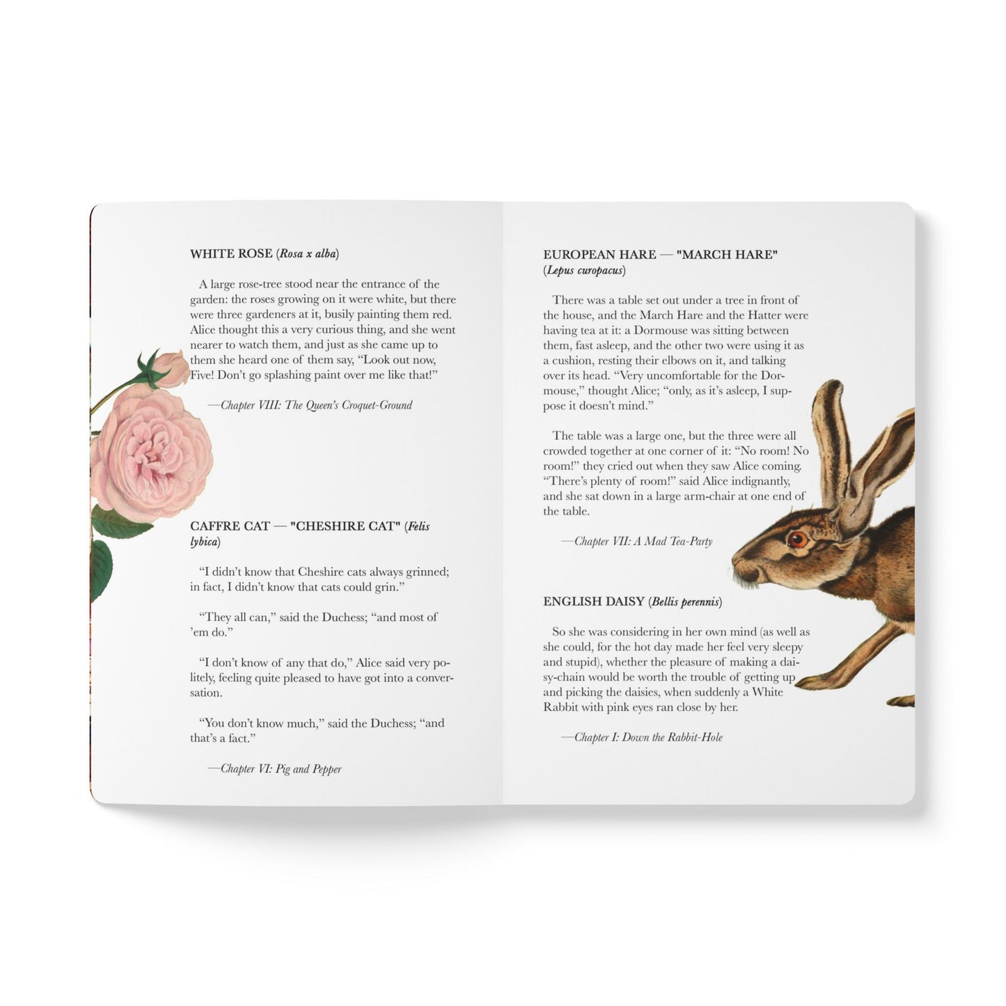 Alice In Wonderland Blank Notebook — Softcover Journal with Vintage Illustrations