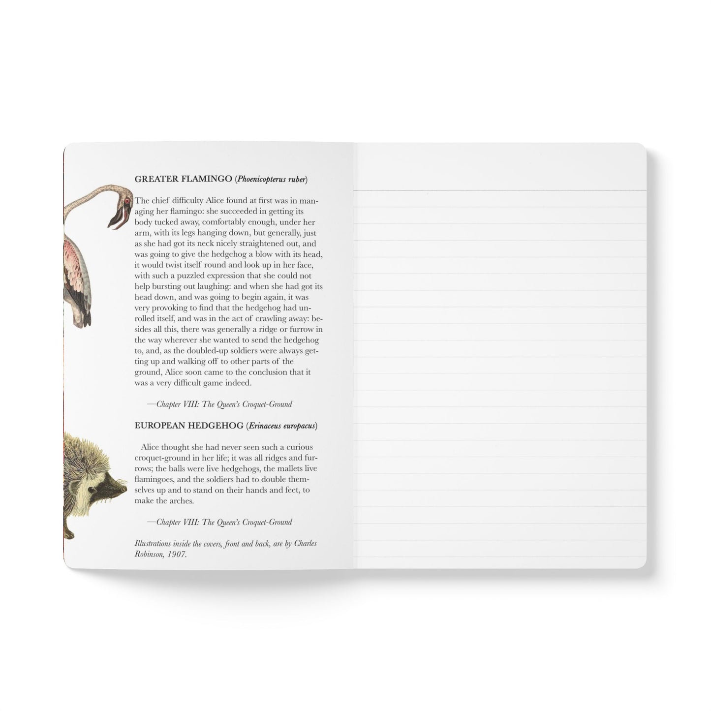 Alice In Wonderland Blank Notebook — Softcover Journal with Vintage Illustrations