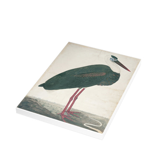 Black Stork In a Landscape Postcard (Set of 10 Identical Cards) — Vintage Natural History Plate