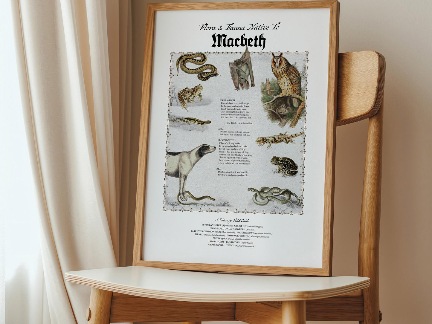 Macbeth Literary Field Guide & Vintage Natural History Collage