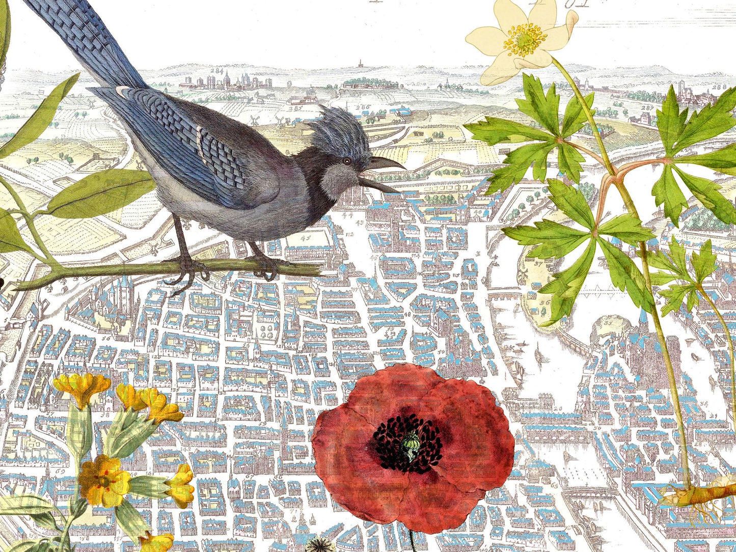 Custom Natural History Collage—A Personalized Field Guide To a Beloved Place