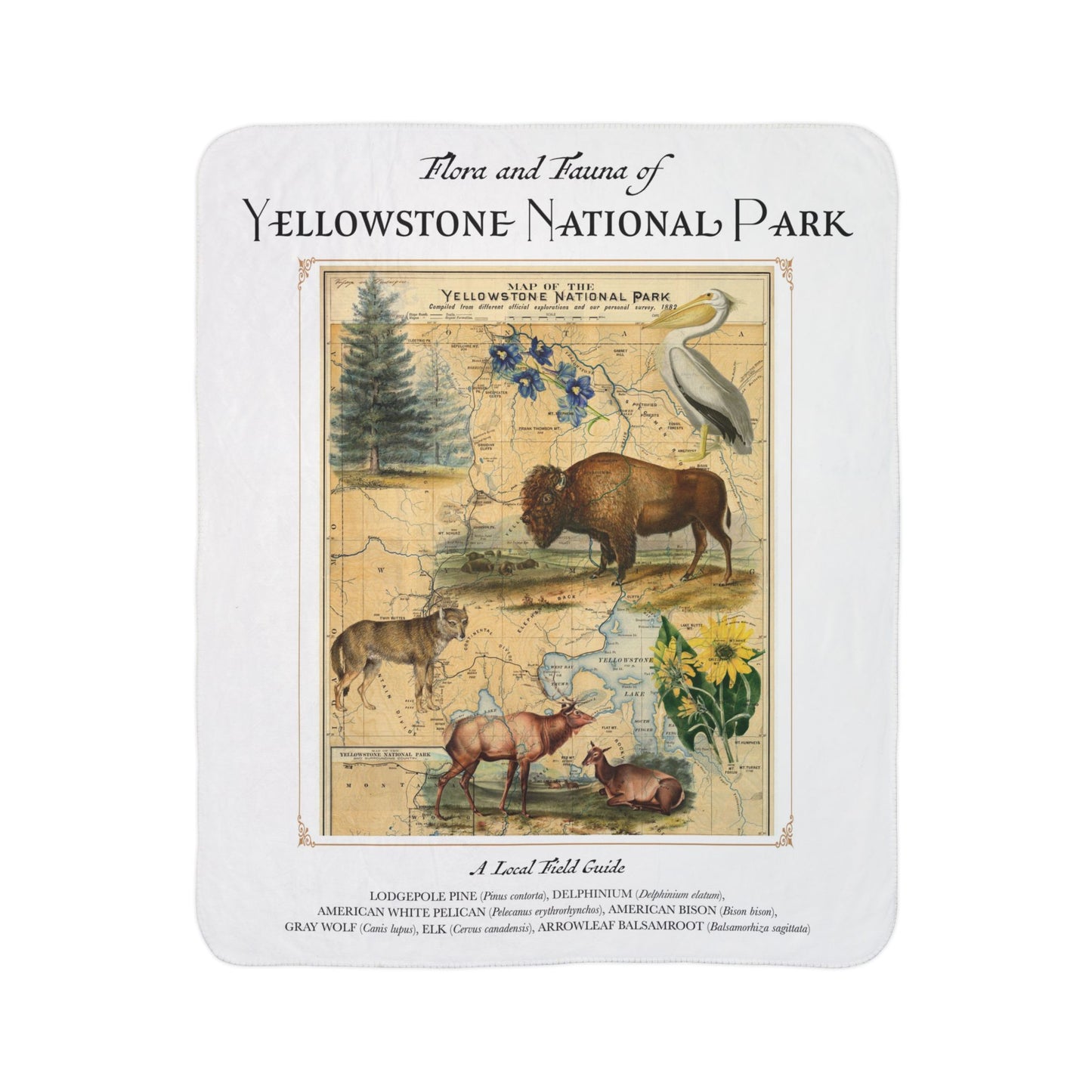 Yellowstone Fleece Sherpa Blanket