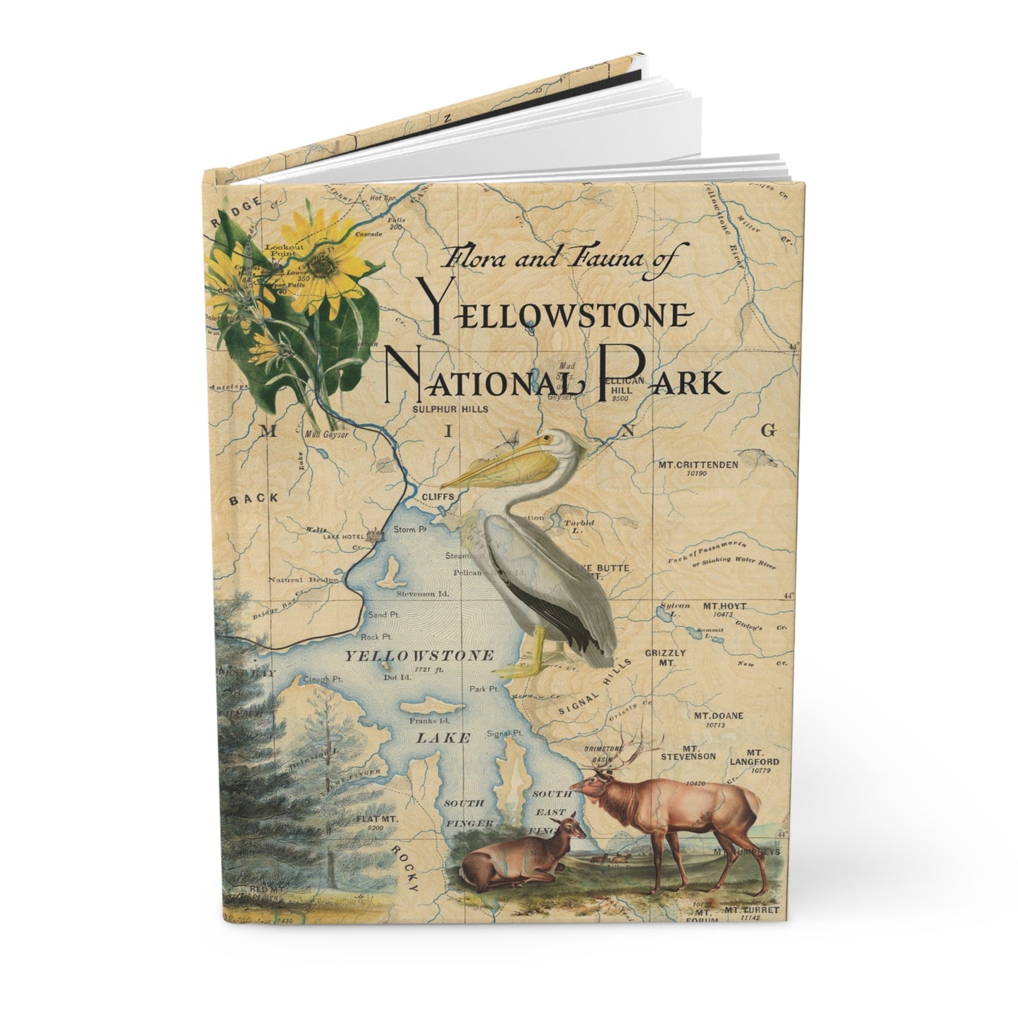 Yellowstone Hardcover Blank Journal