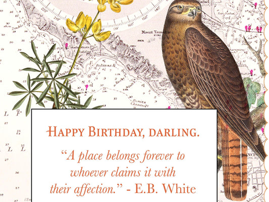 Custom Natural History Collage—A Personalized Field Guide To a Beloved Place