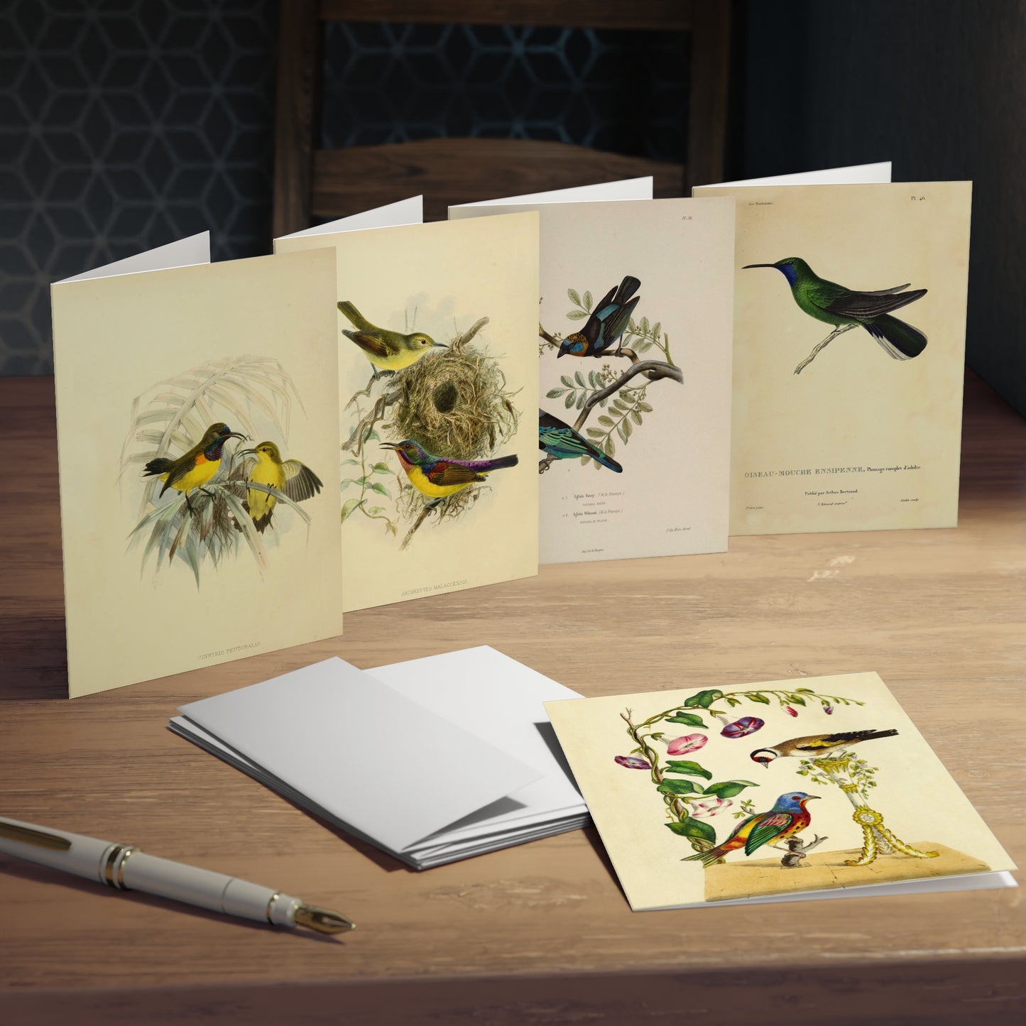 Romantic Birds Note Cards (5 different cards) — Vintage Natural History Illustrations