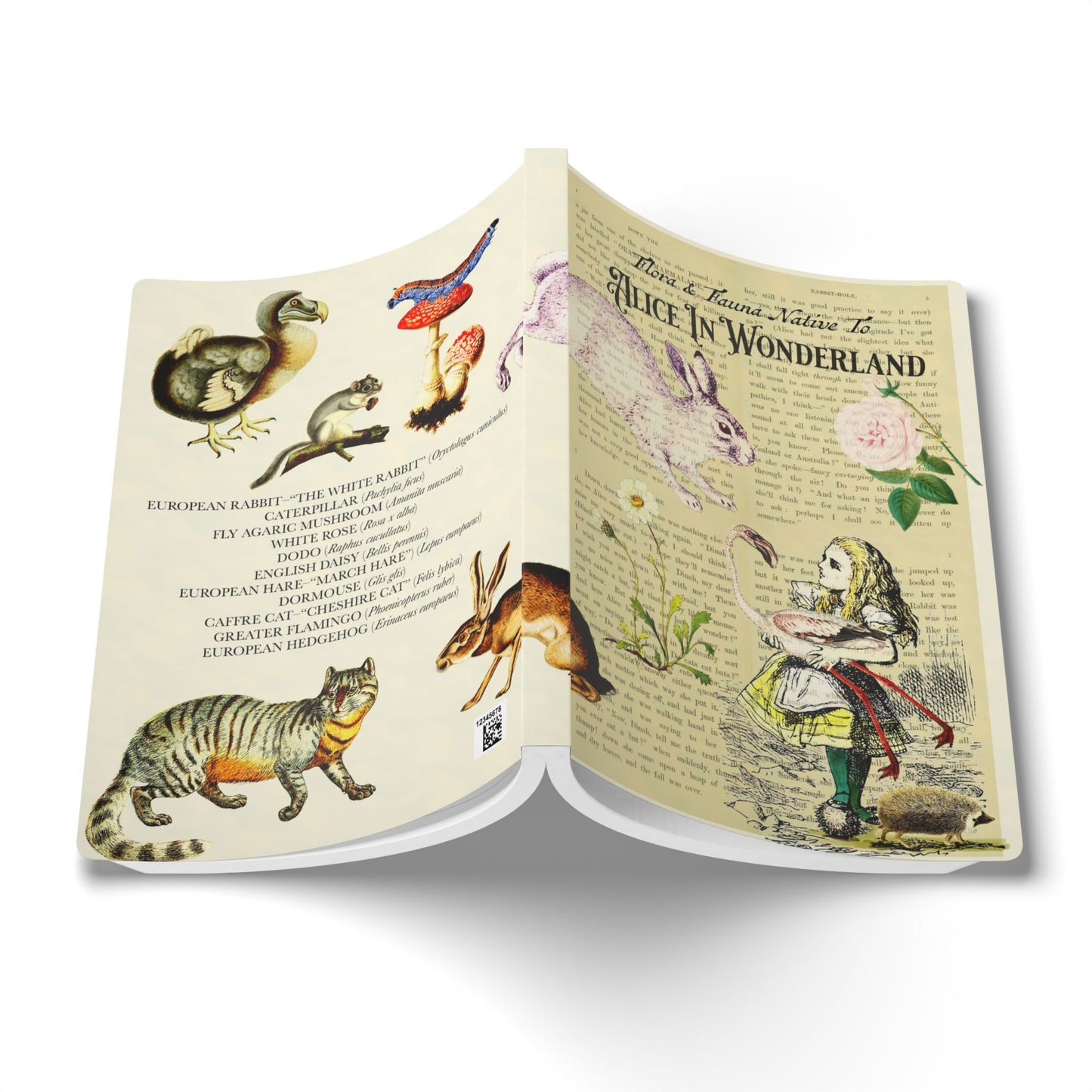 Alice In Wonderland Blank Notebook — Softcover Journal with Vintage Illustrations