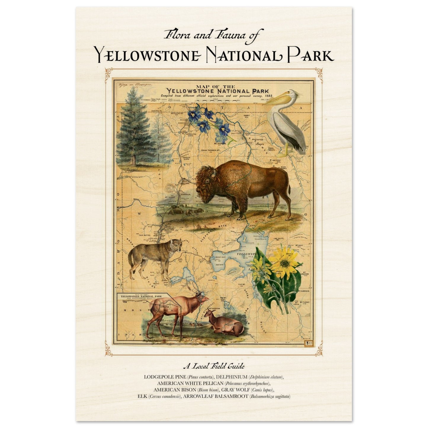 889b9a4a-96cd-4f24-b045-dc46d2d1ad34