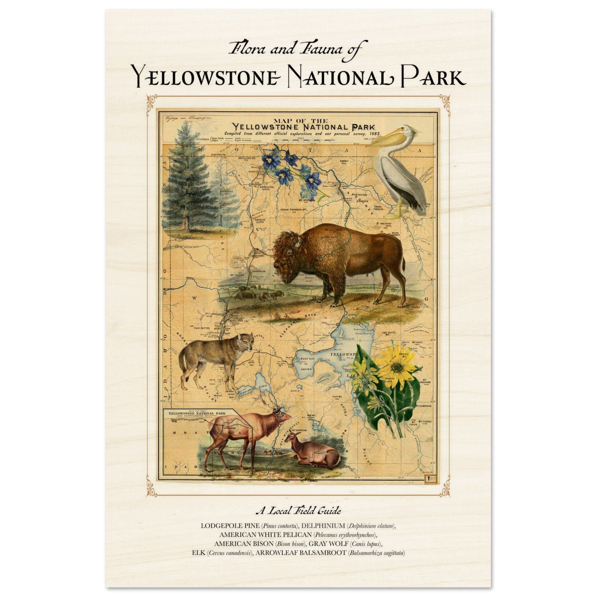 889b9a4a-96cd-4f24-b045-dc46d2d1ad34