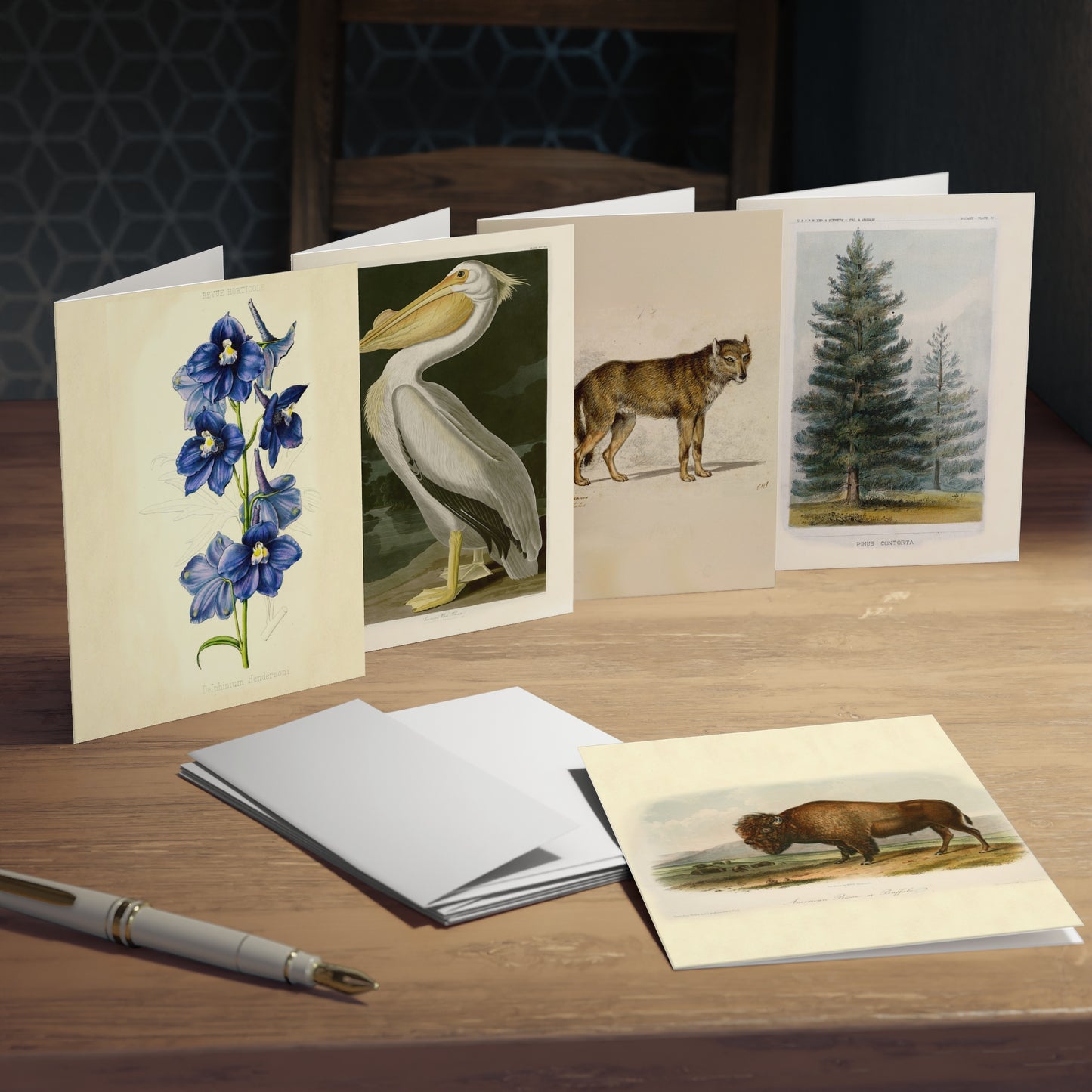 Yellowstone National Park & John Muir Note Cards (5 different cards) — Vintage Natural History Illustrations