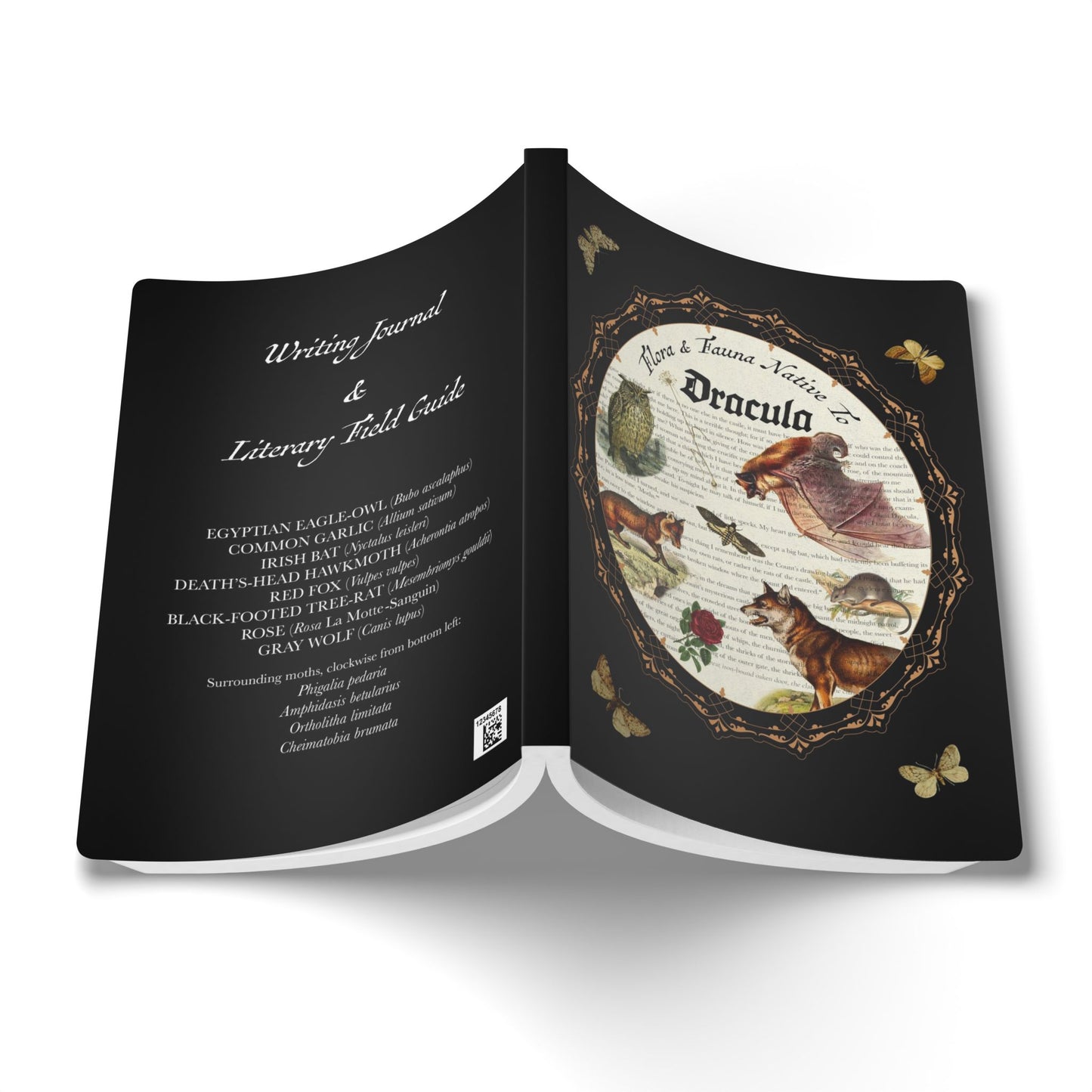 Dracula Blank Notebook — Softcover Inspiration & Writing Journal