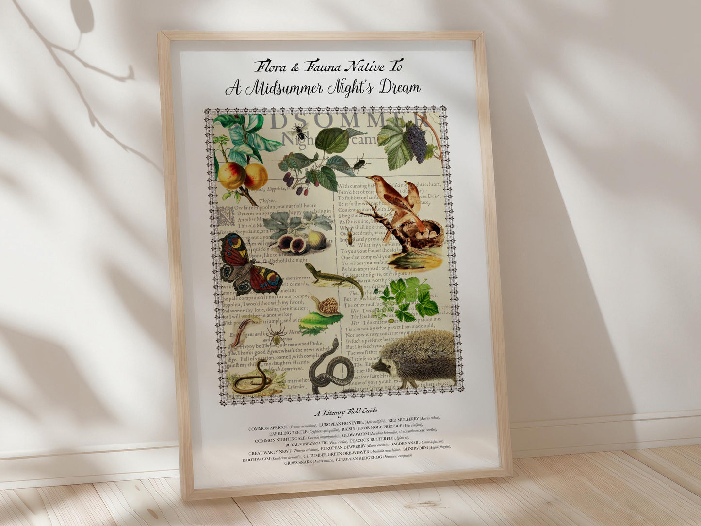 A Midsummer Night's Dream Field Guide