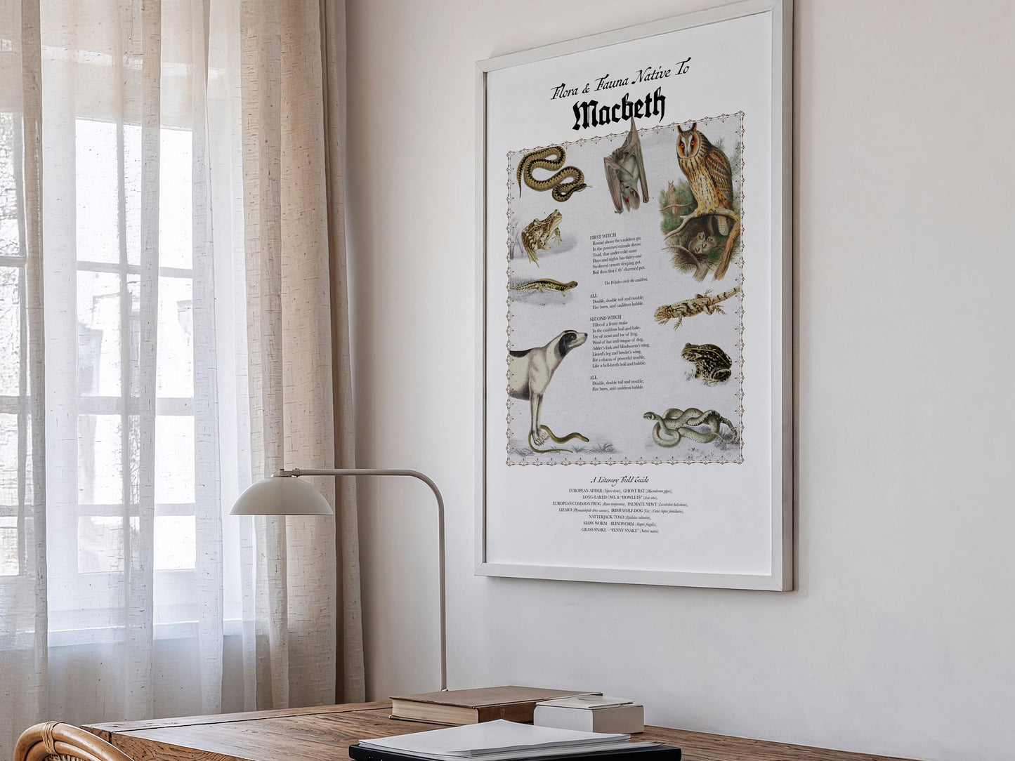 Macbeth Literary Field Guide & Vintage Natural History Collage