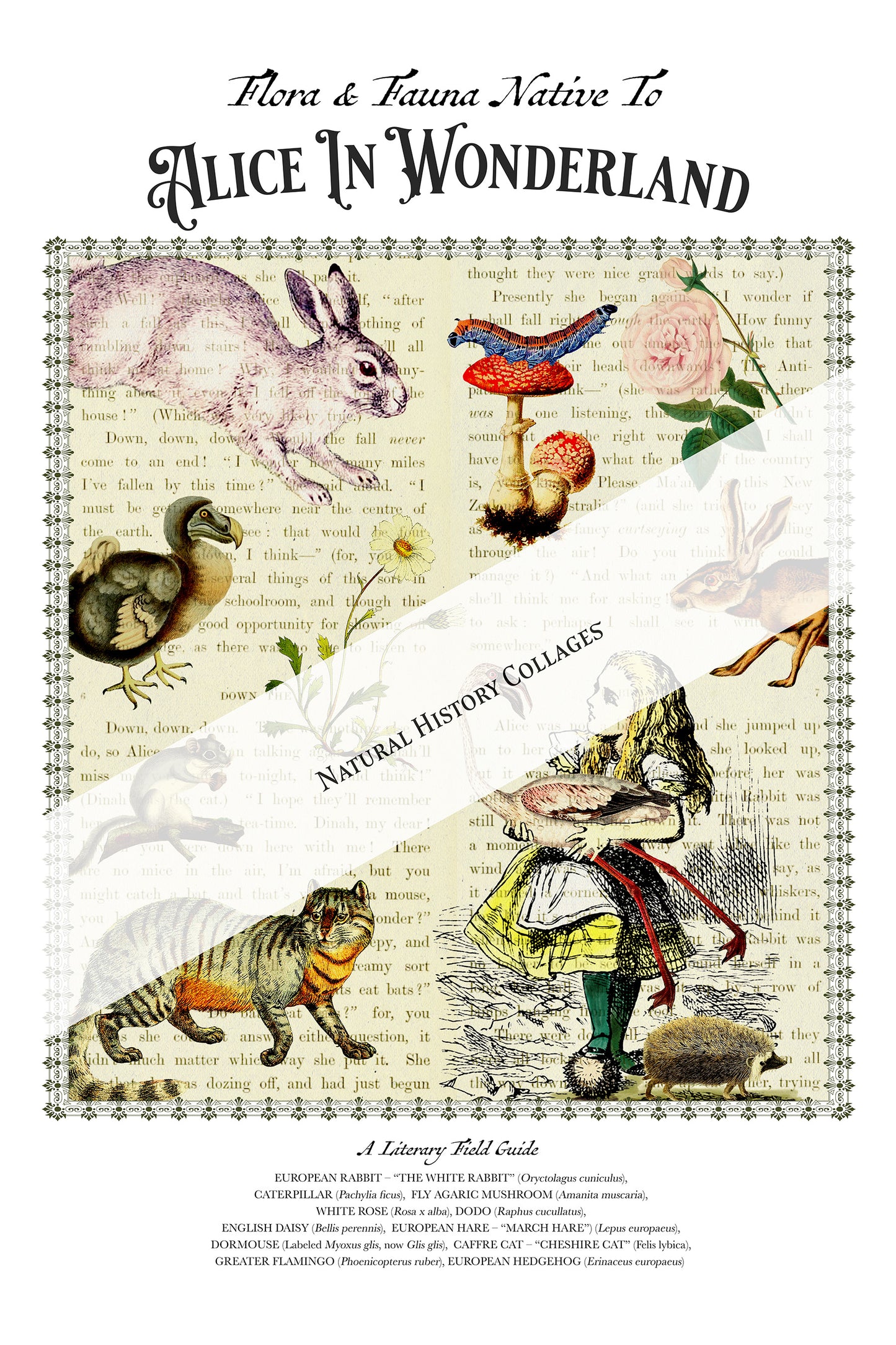 Alice In Wonderland Literary Field Guide