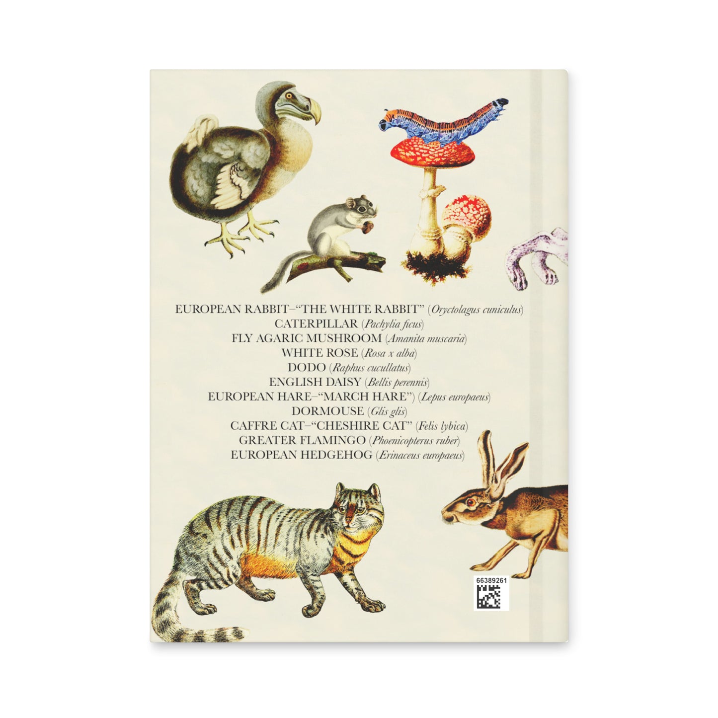 Alice In Wonderland Blank Notebook — Hardcover Journal with Vintage Illustrations