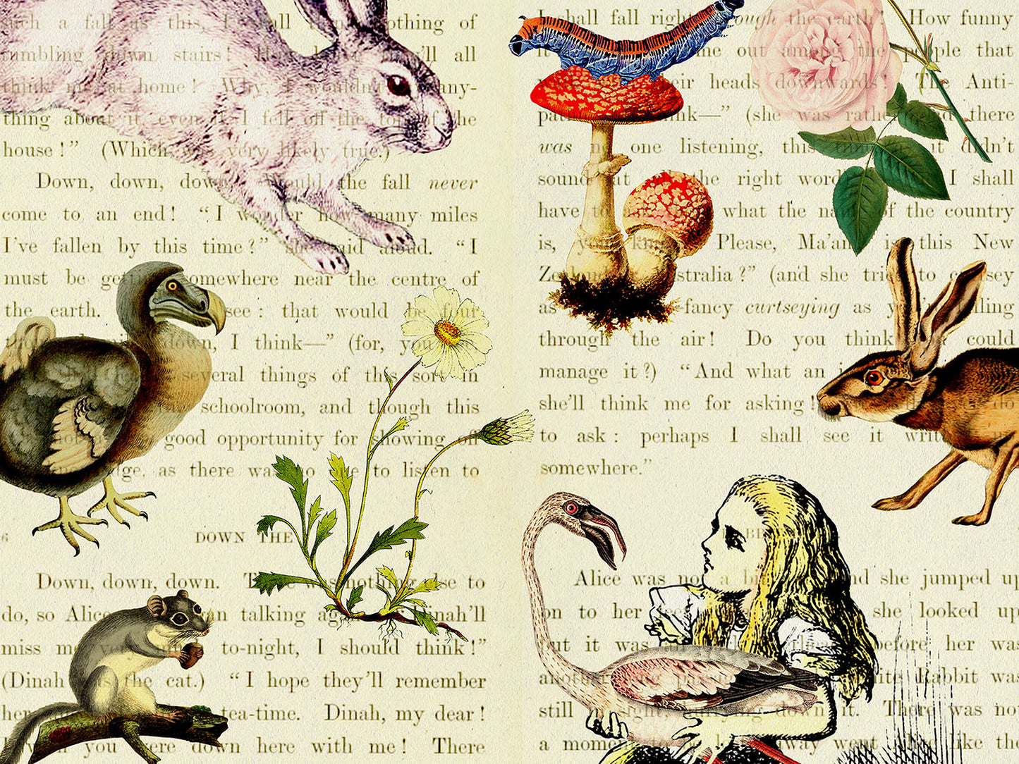 Alice in Wonderland Postcard (Set of 10 identical cards) — Vintage Natural History Collage