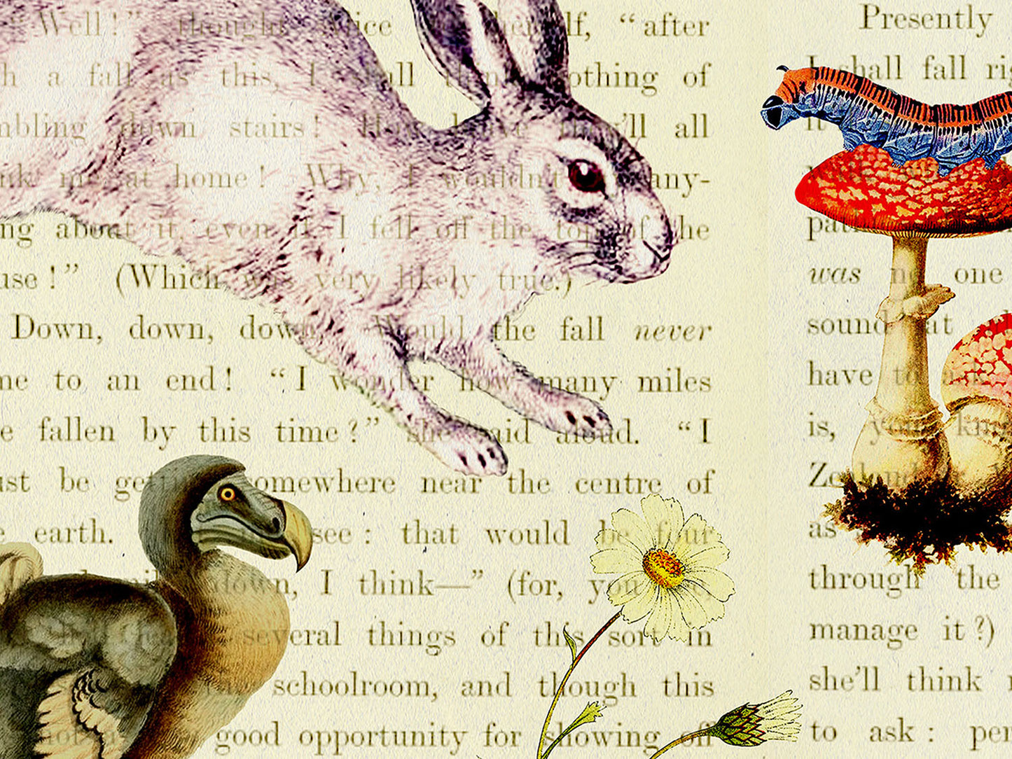 Alice in Wonderland Postcard (Set of 10 identical cards) — Vintage Natural History Collage