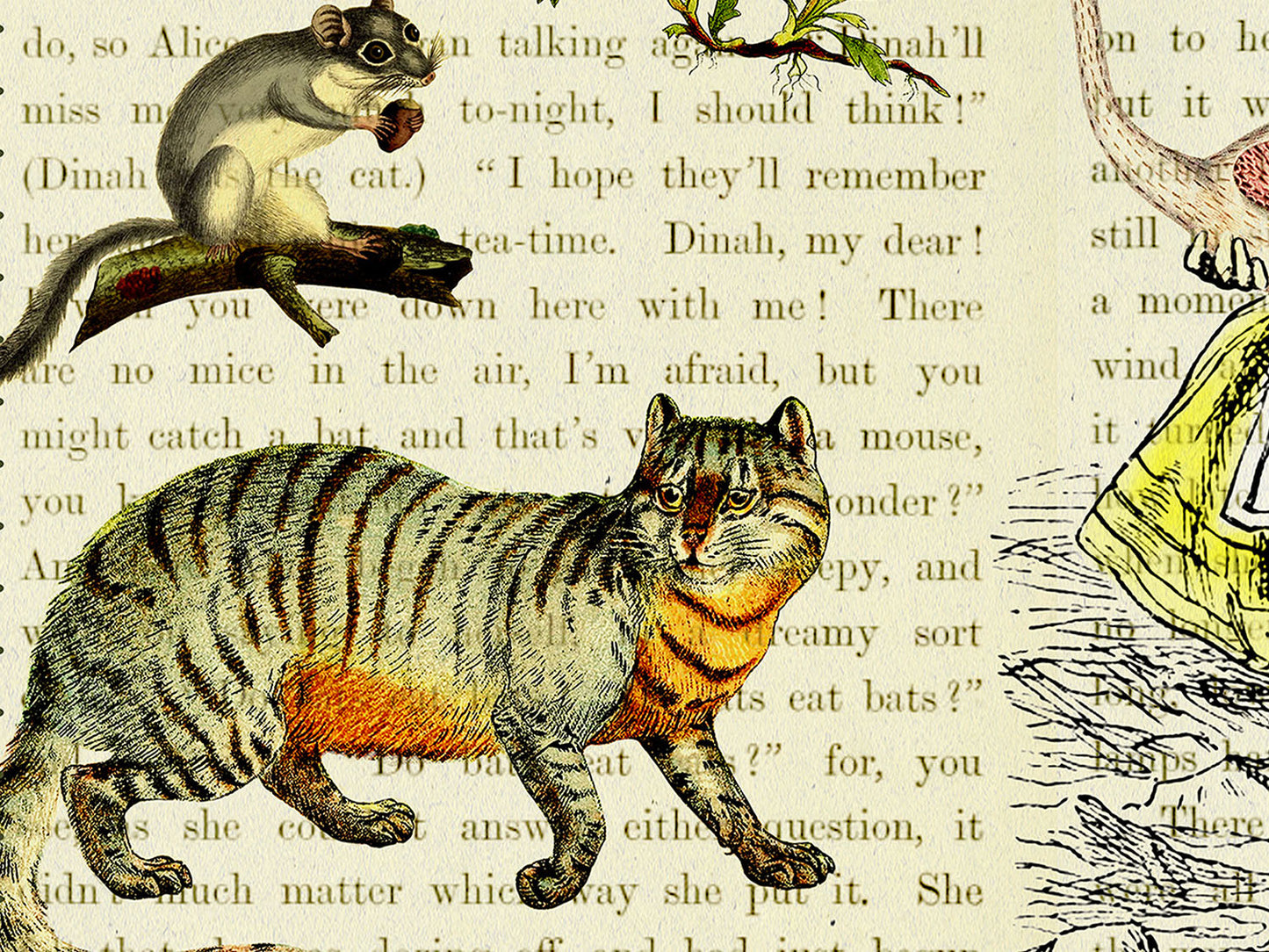 Alice in Wonderland Postcard (Set of 10 identical cards) — Vintage Natural History Collage