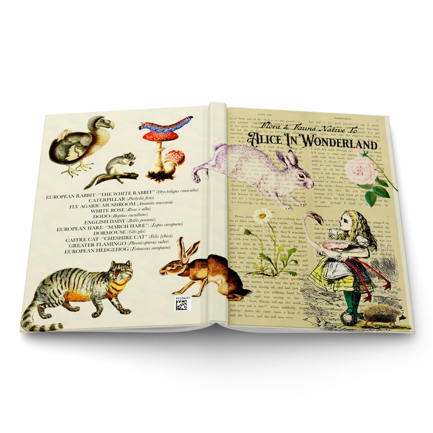 Alice In Wonderland Blank Notebook — Hardcover Journal with Vintage Illustrations
