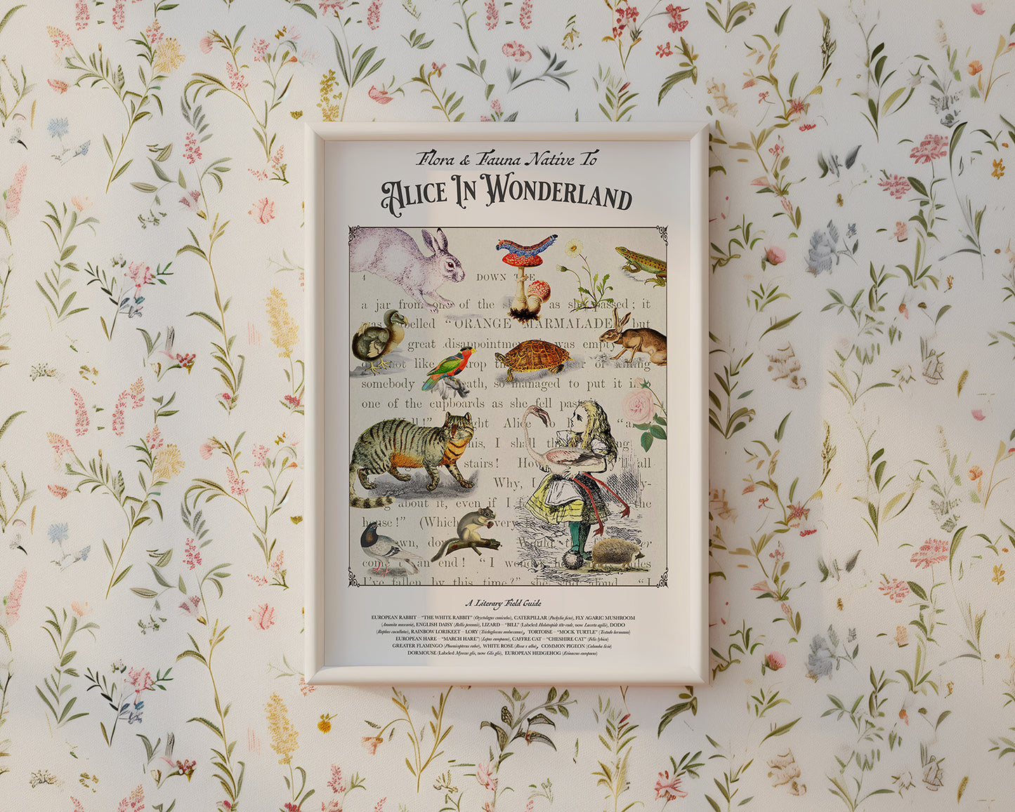 Alice In Wonderland Literary Field Guide