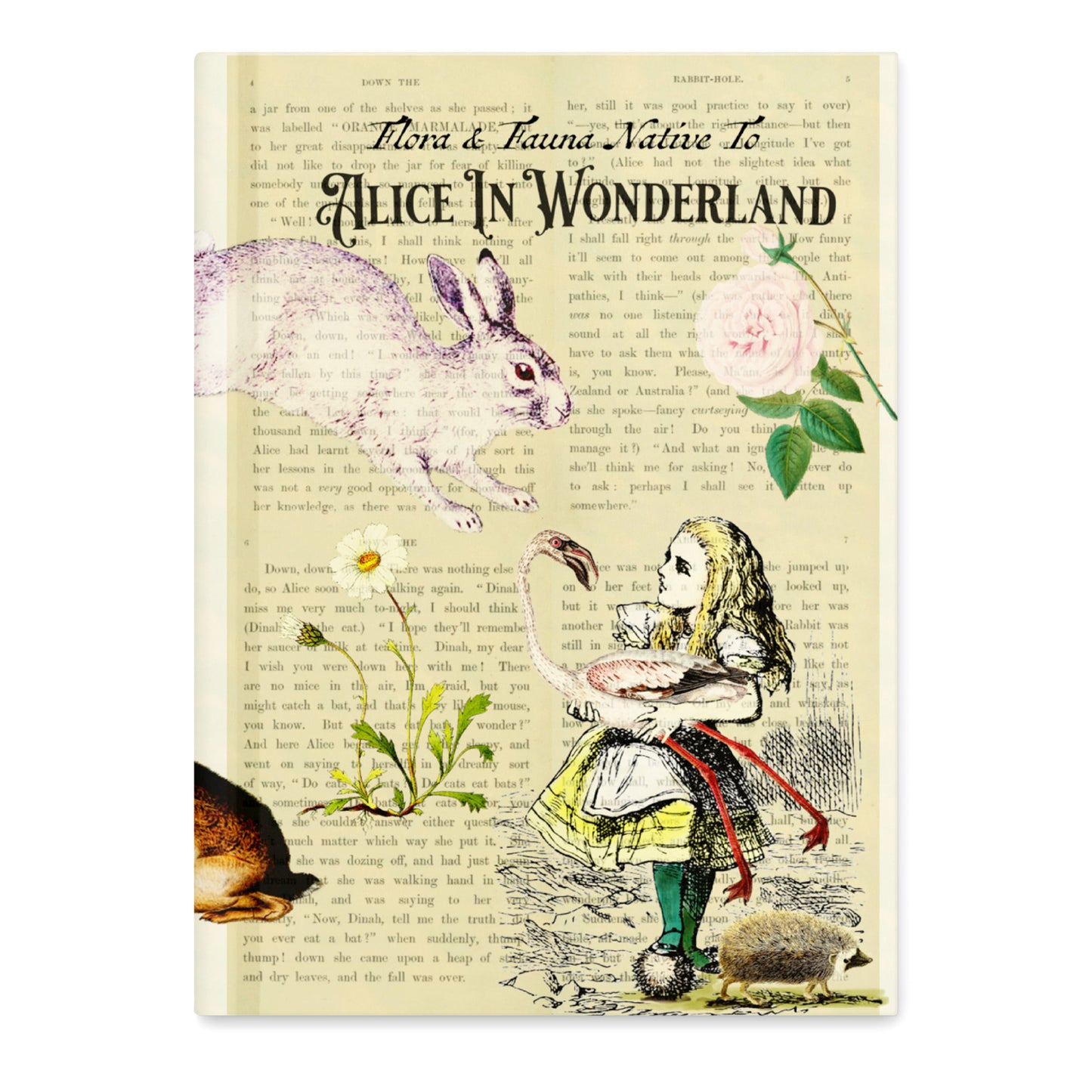 Alice In Wonderland Blank Notebook — Hardcover Journal with Vintage Illustrations