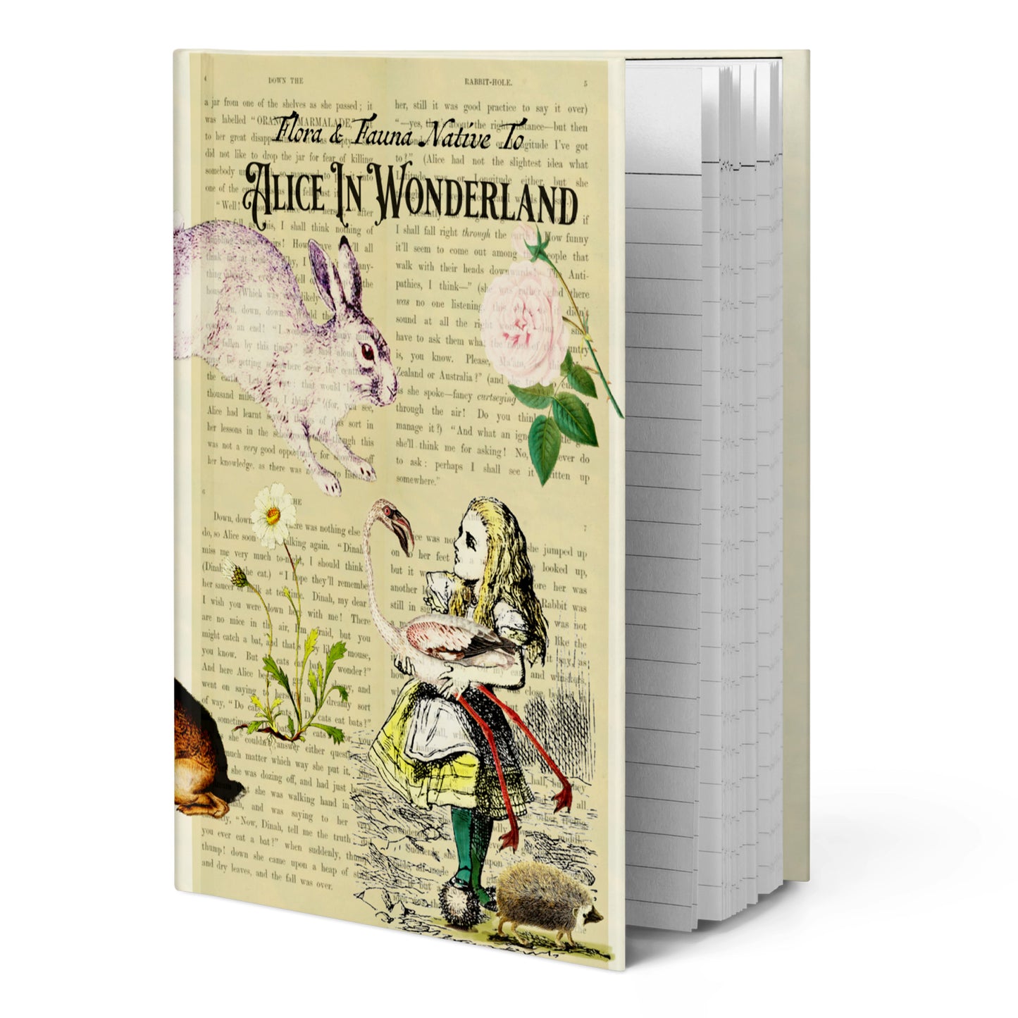 Alice In Wonderland Blank Notebook — Hardcover Journal with Vintage Illustrations