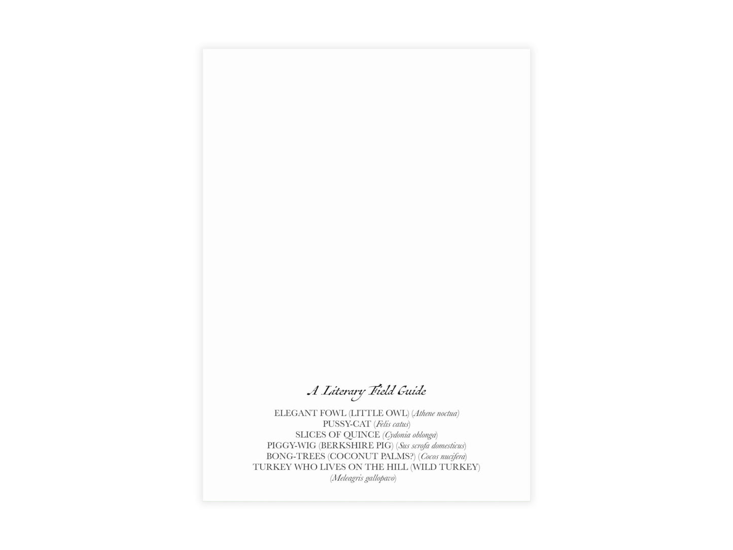 Alice in Wonderland Postcard (Set of 10 identical cards) — Vintage Natural History Collage