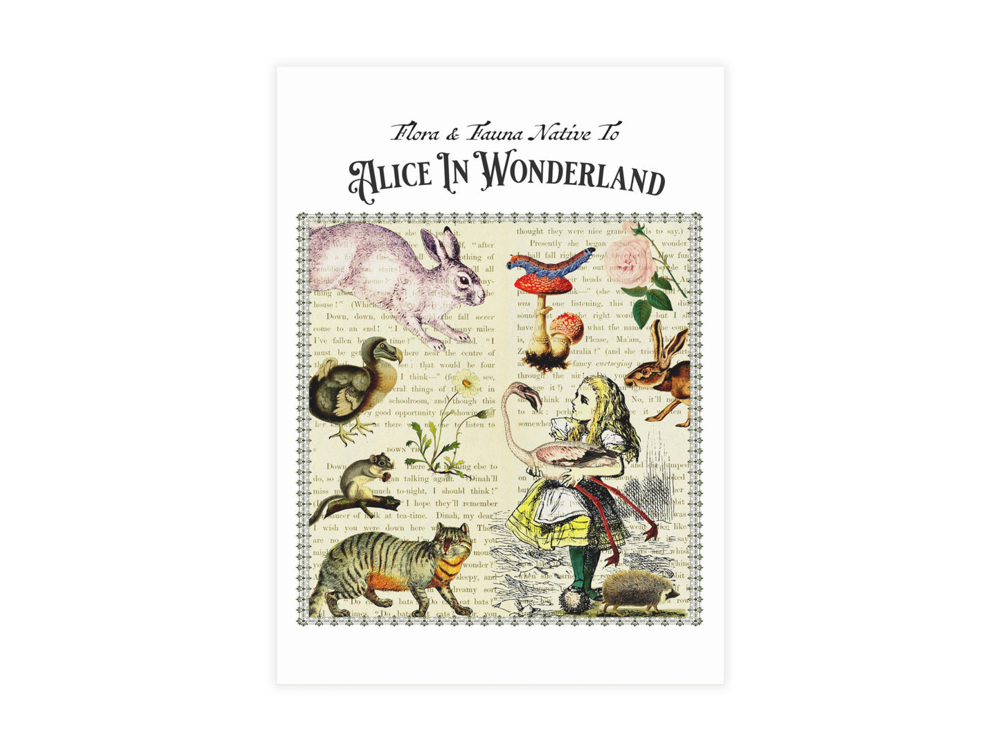 Alice in Wonderland Postcard (Set of 10 identical cards) — Vintage Natural History Collage