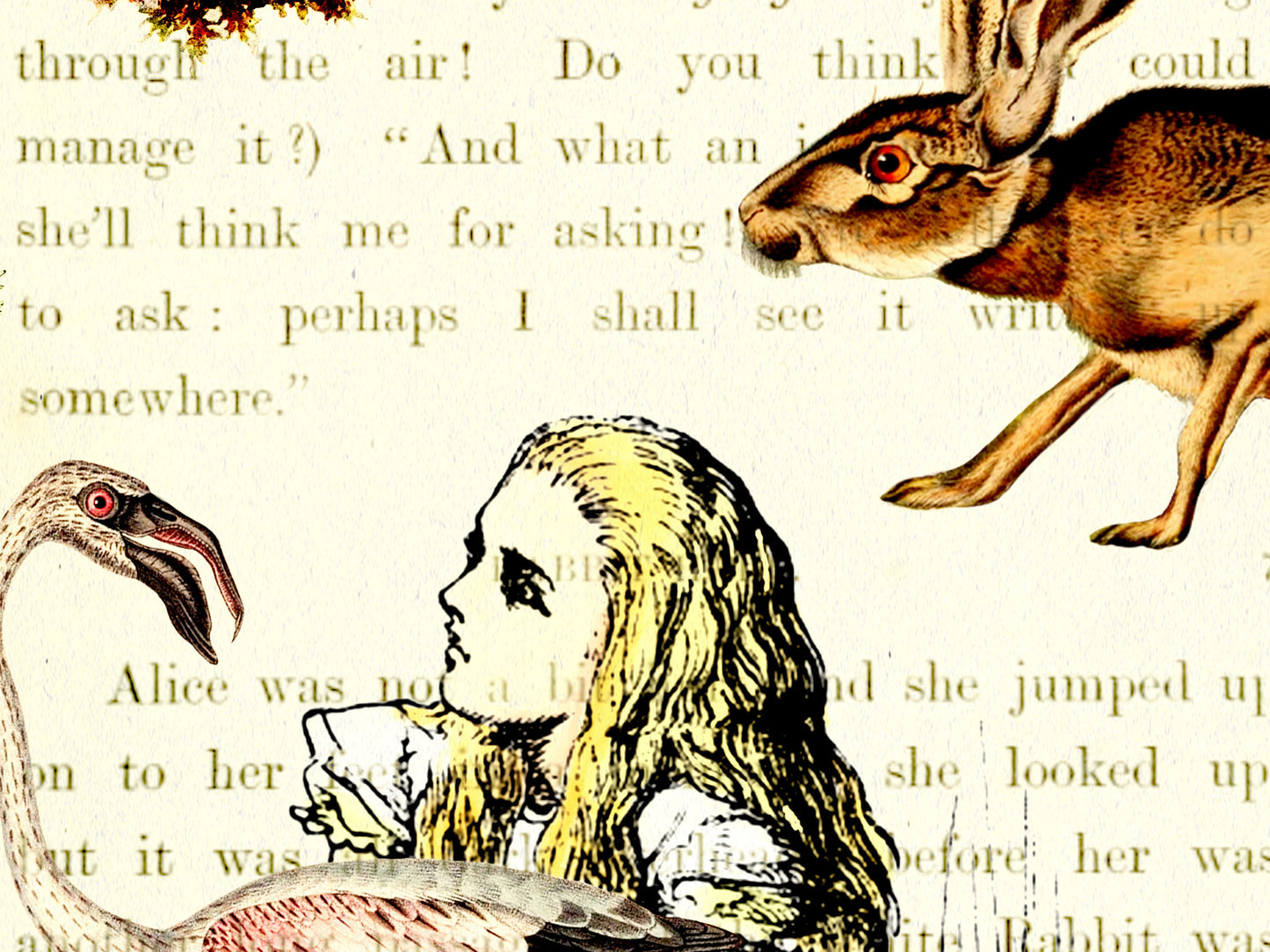 Alice In Wonderland Literary Field Guide