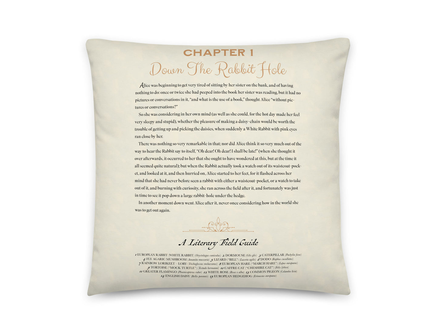 Alice in Wonderland Story Pillow
