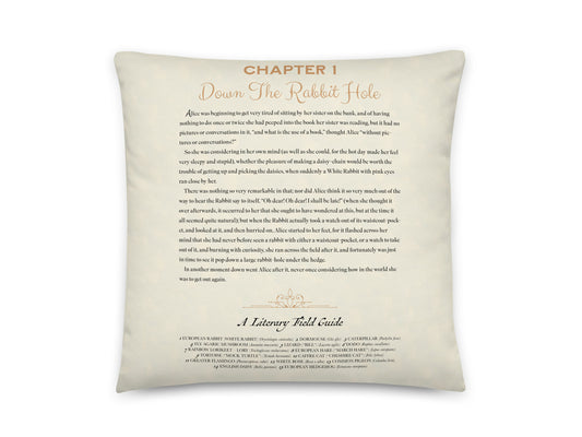 Alice in Wonderland Story Pillow