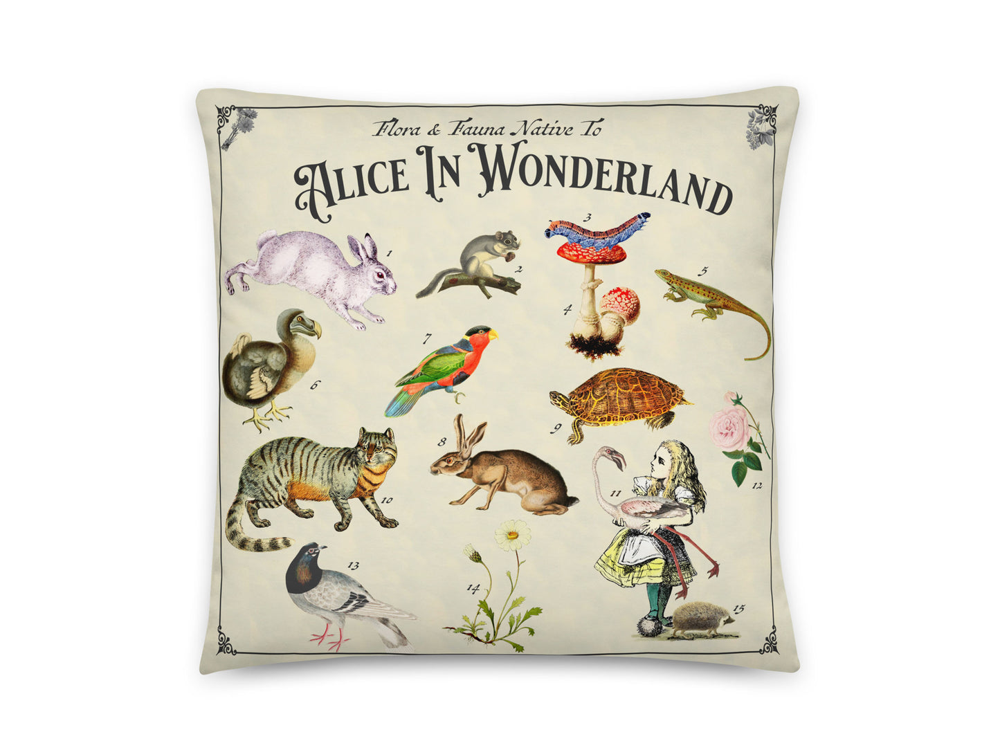 Alice in Wonderland Story Pillow